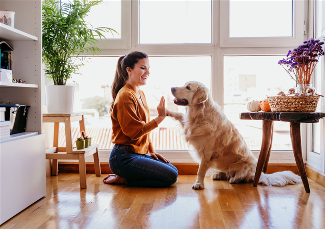 5-11-21-The-New-American-Dream-Is-A-Dog-Friendly-Home